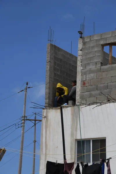 DSC_5149 (Large).JPG